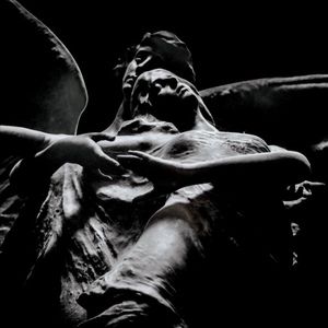 Meet your Posher, Jonah